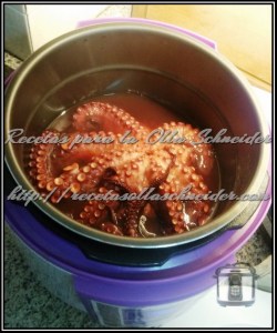 PULPO 20150131_152141